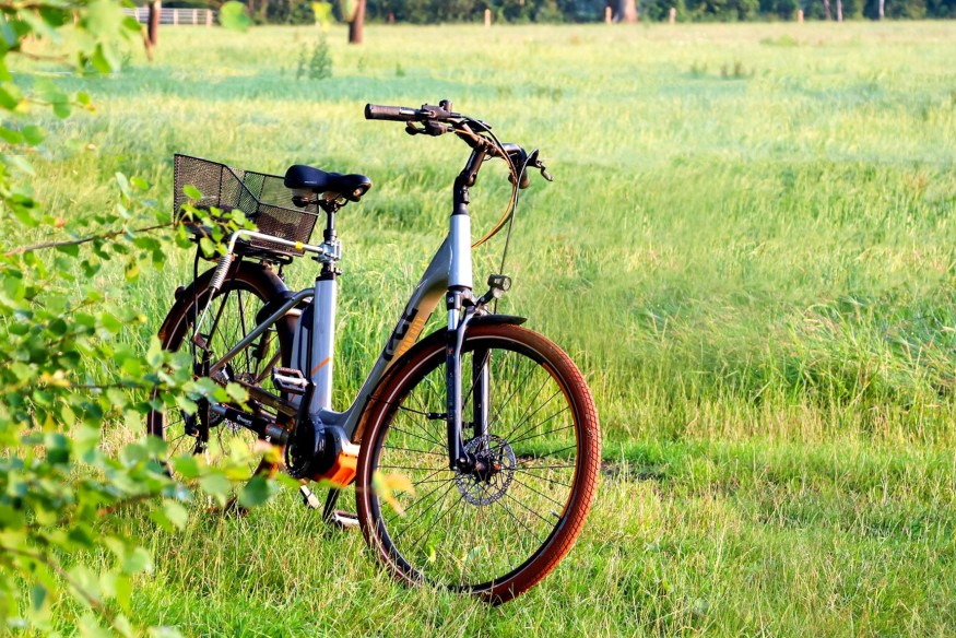 Ścieżka pieszo-rowerowa Hopowo – Borcz. GDDKiA składa wniosek