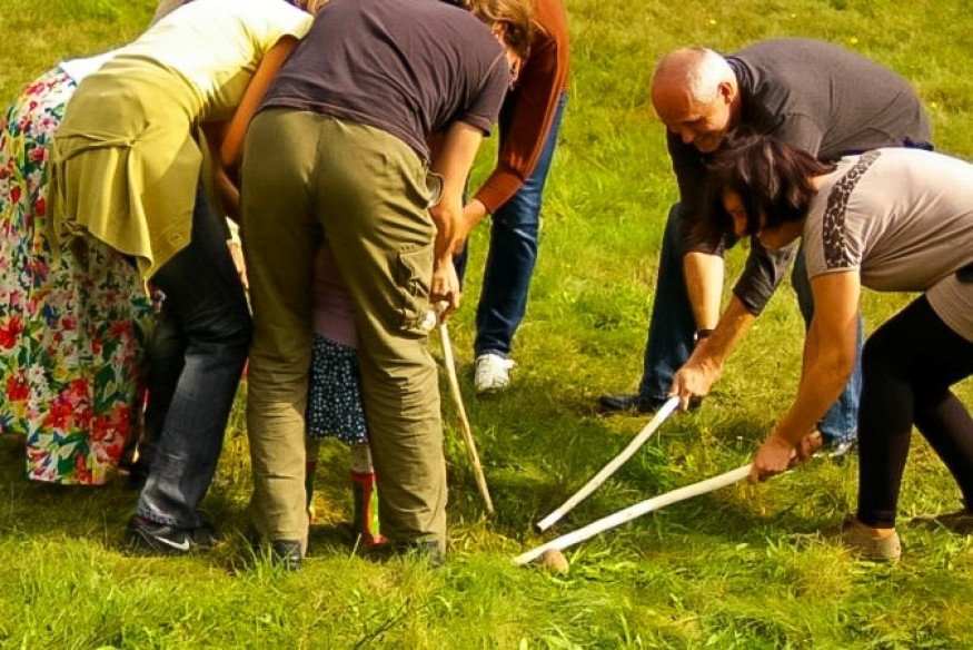 Z motyką na bulwy. Dawne wykopki we Wdzydzach