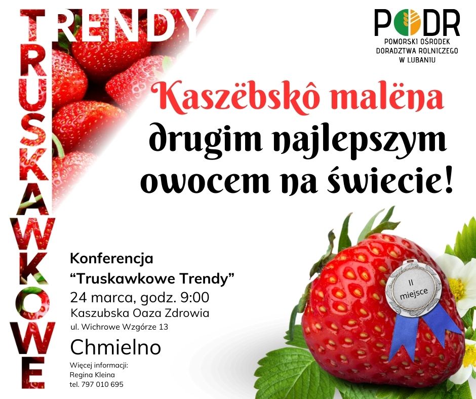 Kaszebsko-malena